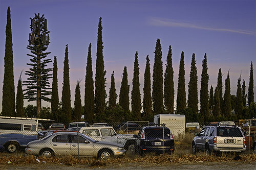 Cypress Row, Littlerock, CA