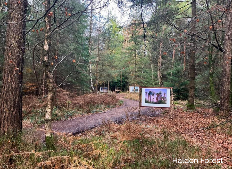 Earth Photo 2023 Installations in the UK